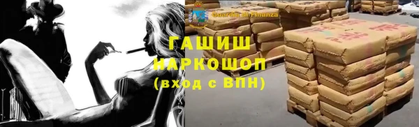 индика Ладушкин