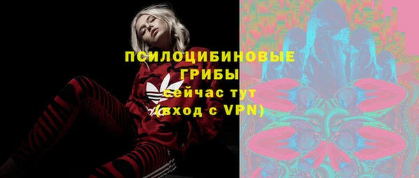 PSILOCYBIN Липки
