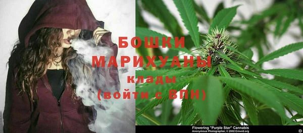 индика Ладушкин